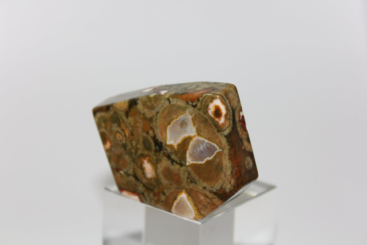 Slab - Rainforest Jasper