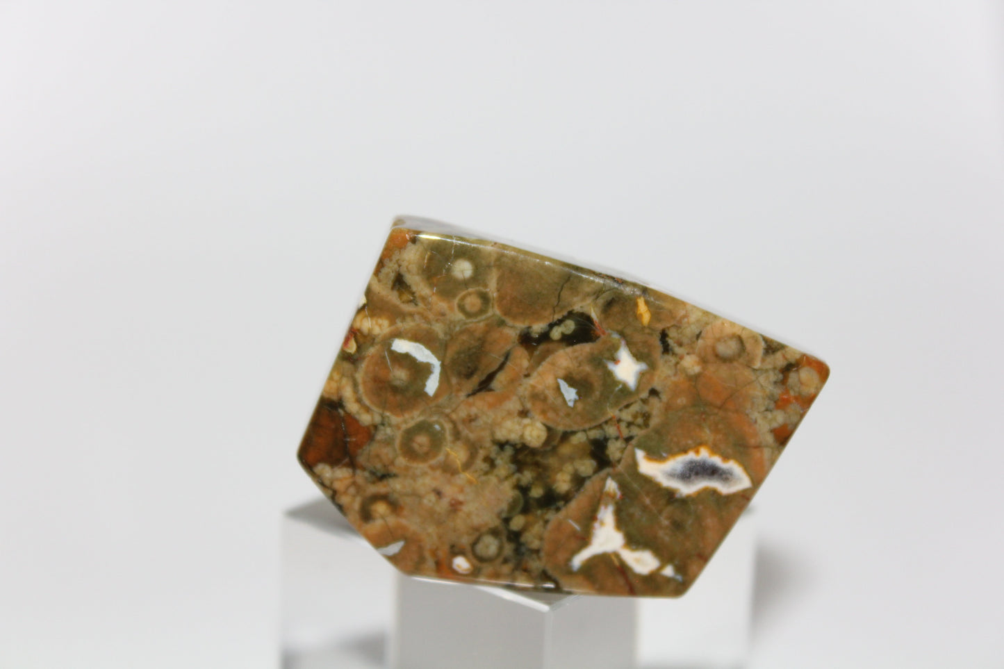 Slab - Rainforest Jasper