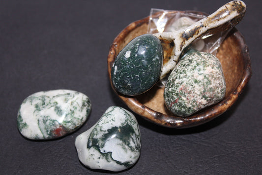 Tumbled - Tree Agate - xlge