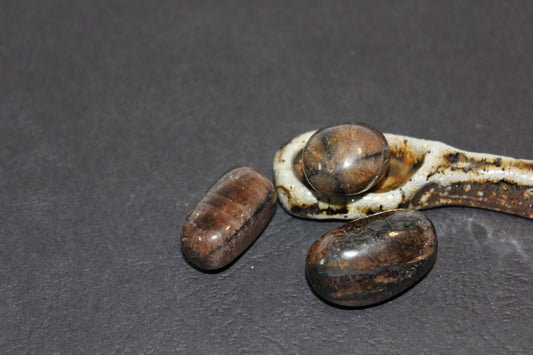 Tumbled - Chiastolite - A+