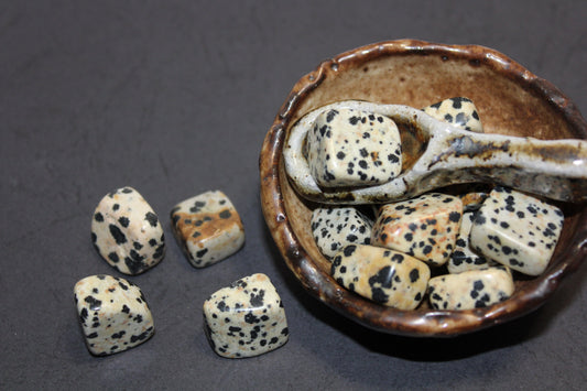 Tumbled - Dalmatian Jasper - sml