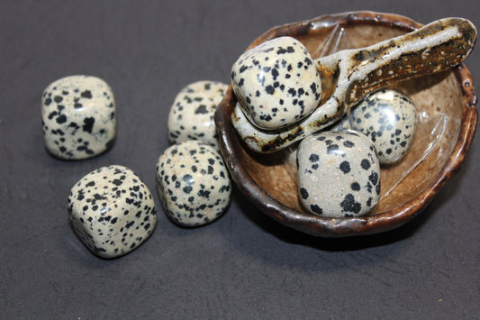 Tumbled - Dalmatian Jasper - lge