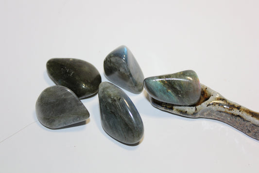 Tumbled - Labradorite - A+ - lge
