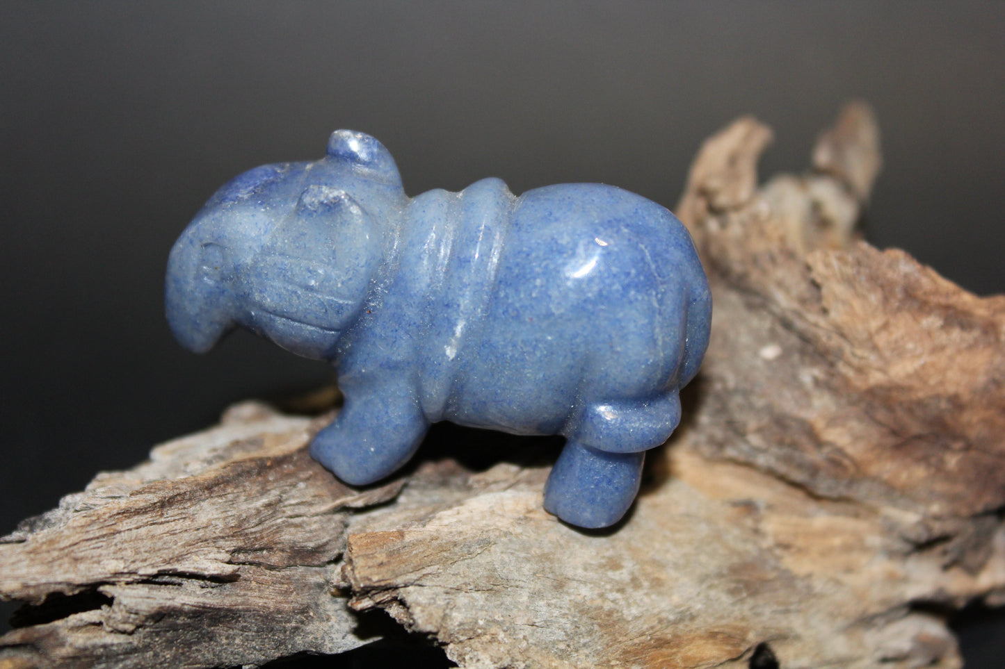 Animals - Armadillo - Blue Quartz