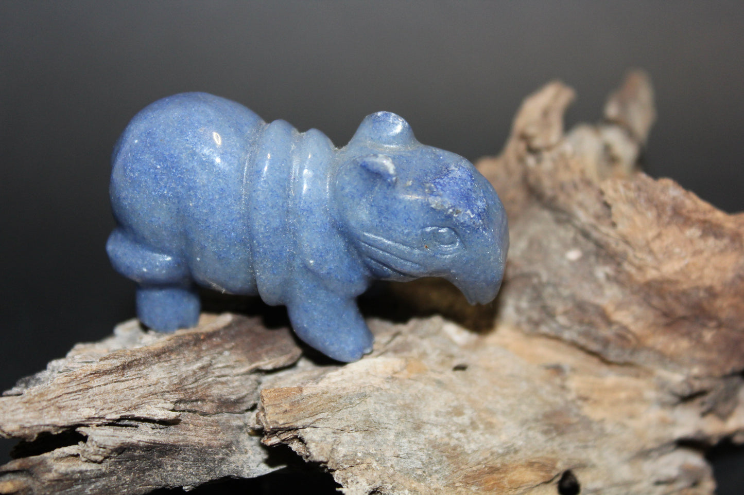 Animals - Armadillo - Blue Quartz