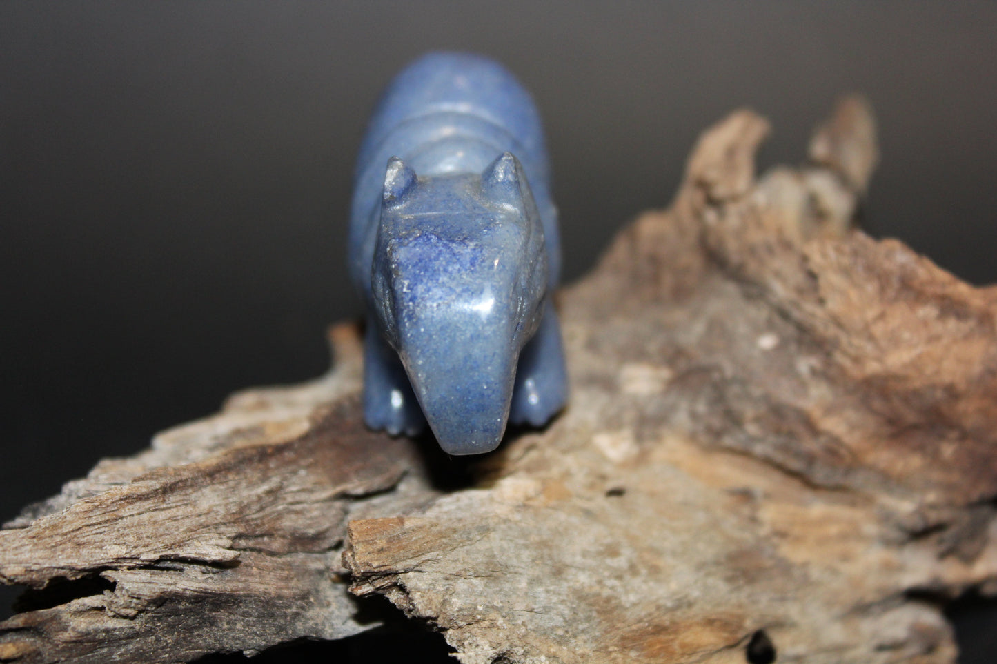 Animals - Armadillo - Blue Quartz