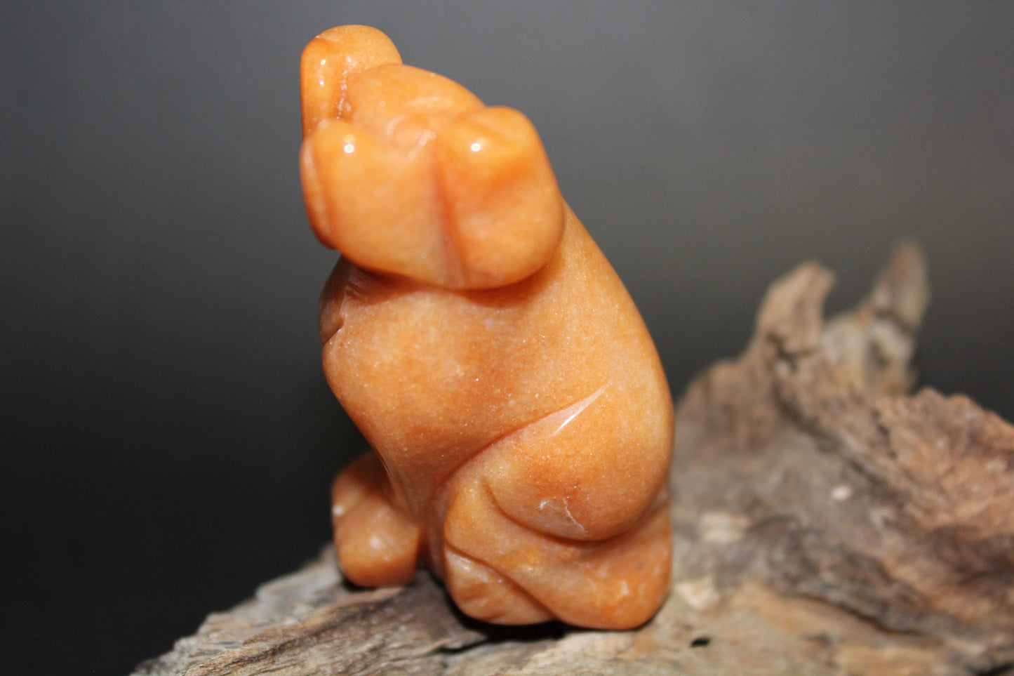 Animals - Dog - Peach Aventurine