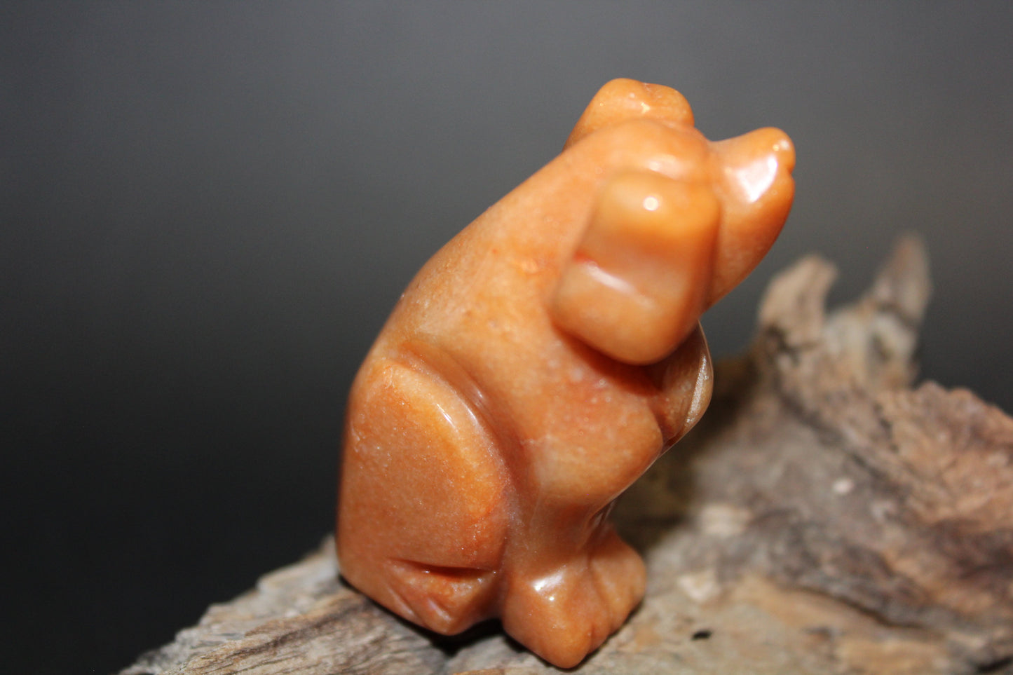 Animals - Dog - Peach Aventurine