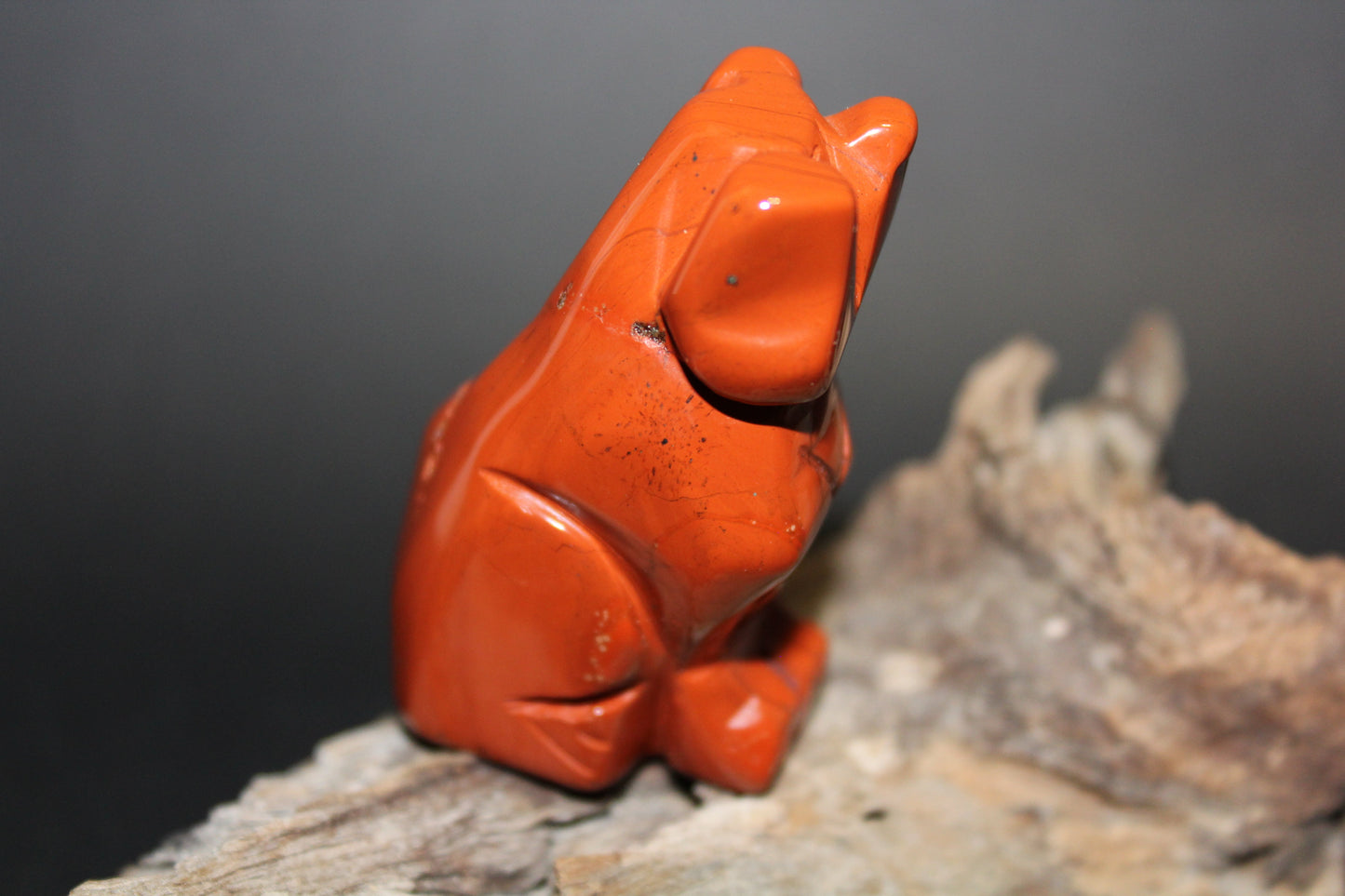 Animals - Dog - Red Jasper