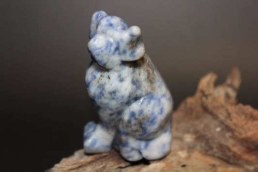 Animals - Dog - Sodalite
