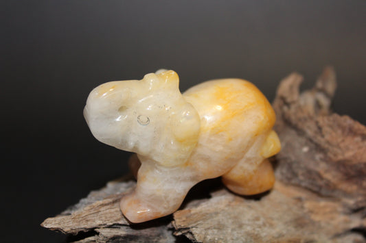 Animals - Elephant - Agate