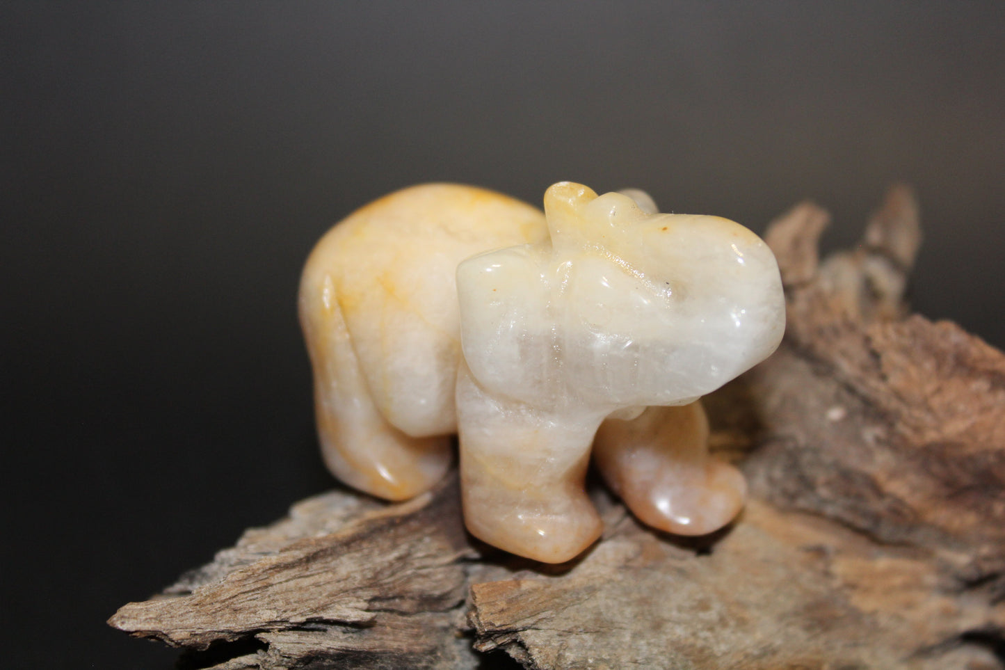 Animals - Elephant - Agate