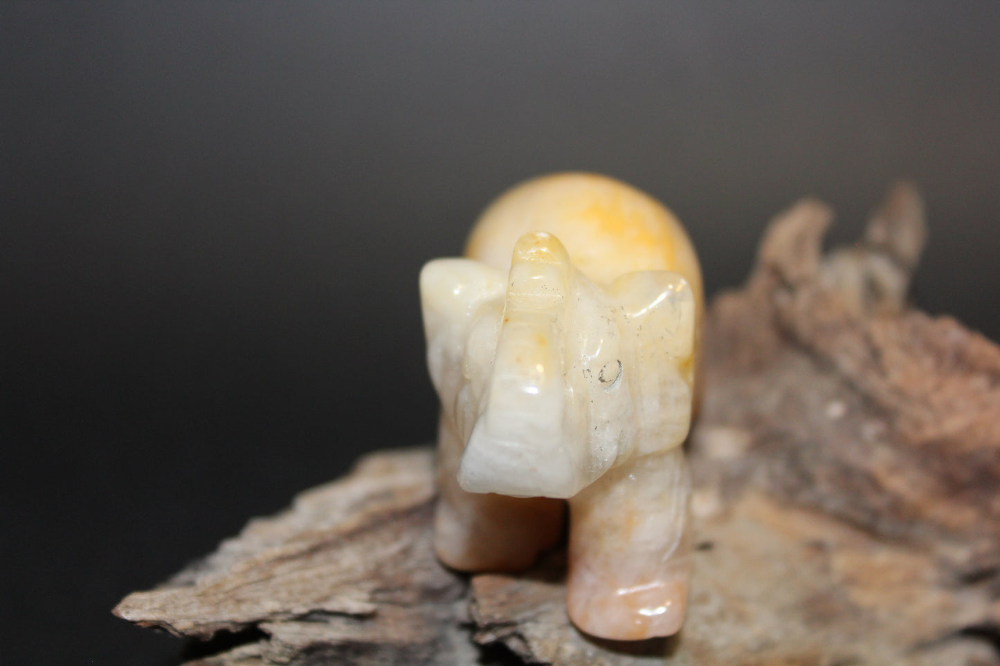 Animals - Elephant - Agate