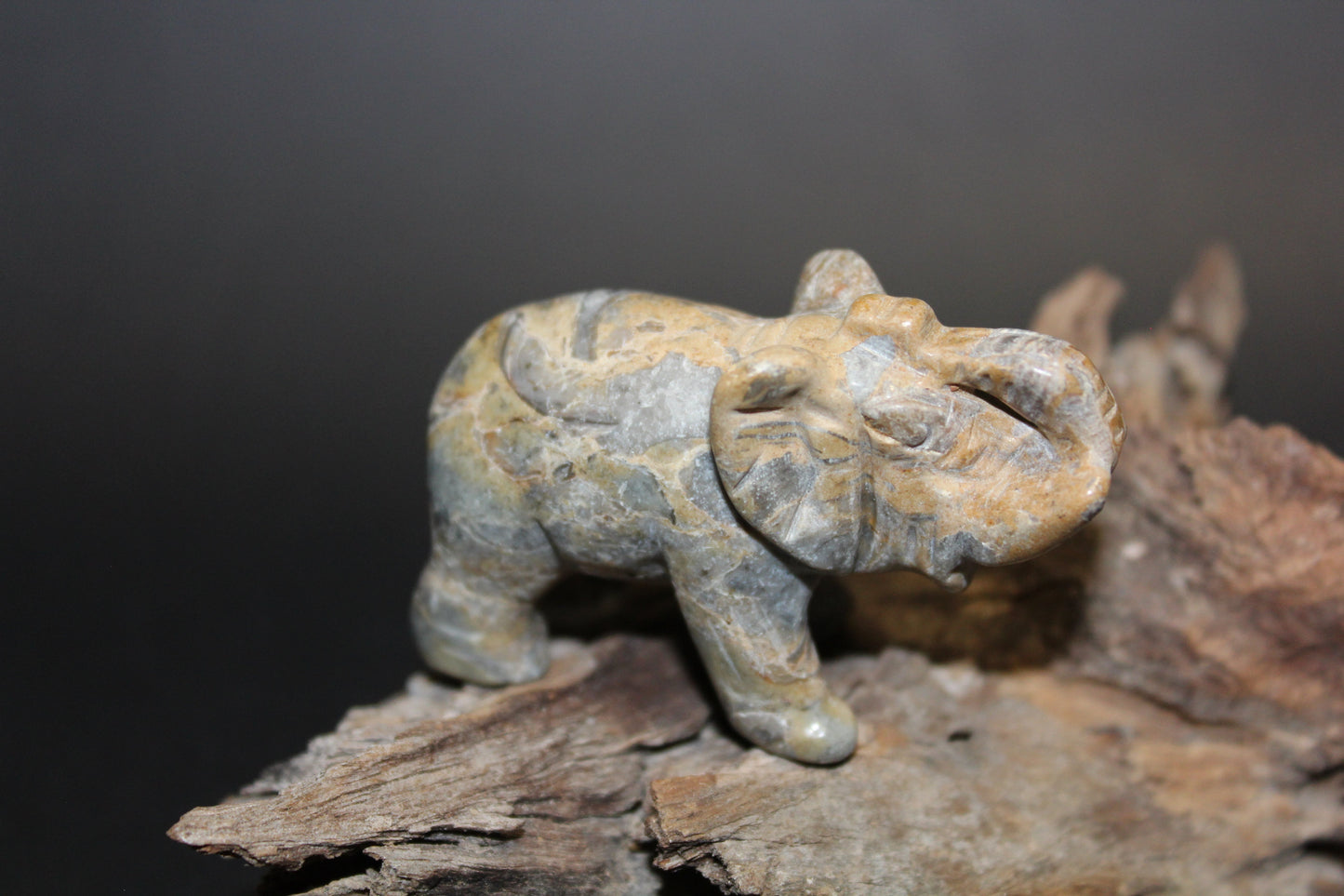 Animals - Elephant - Picasso Stone