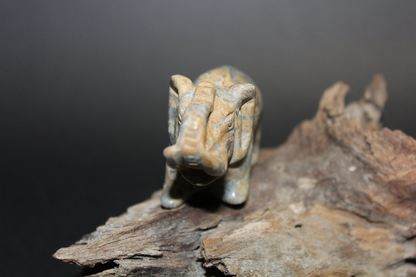 Animals - Elephant - Picasso Stone