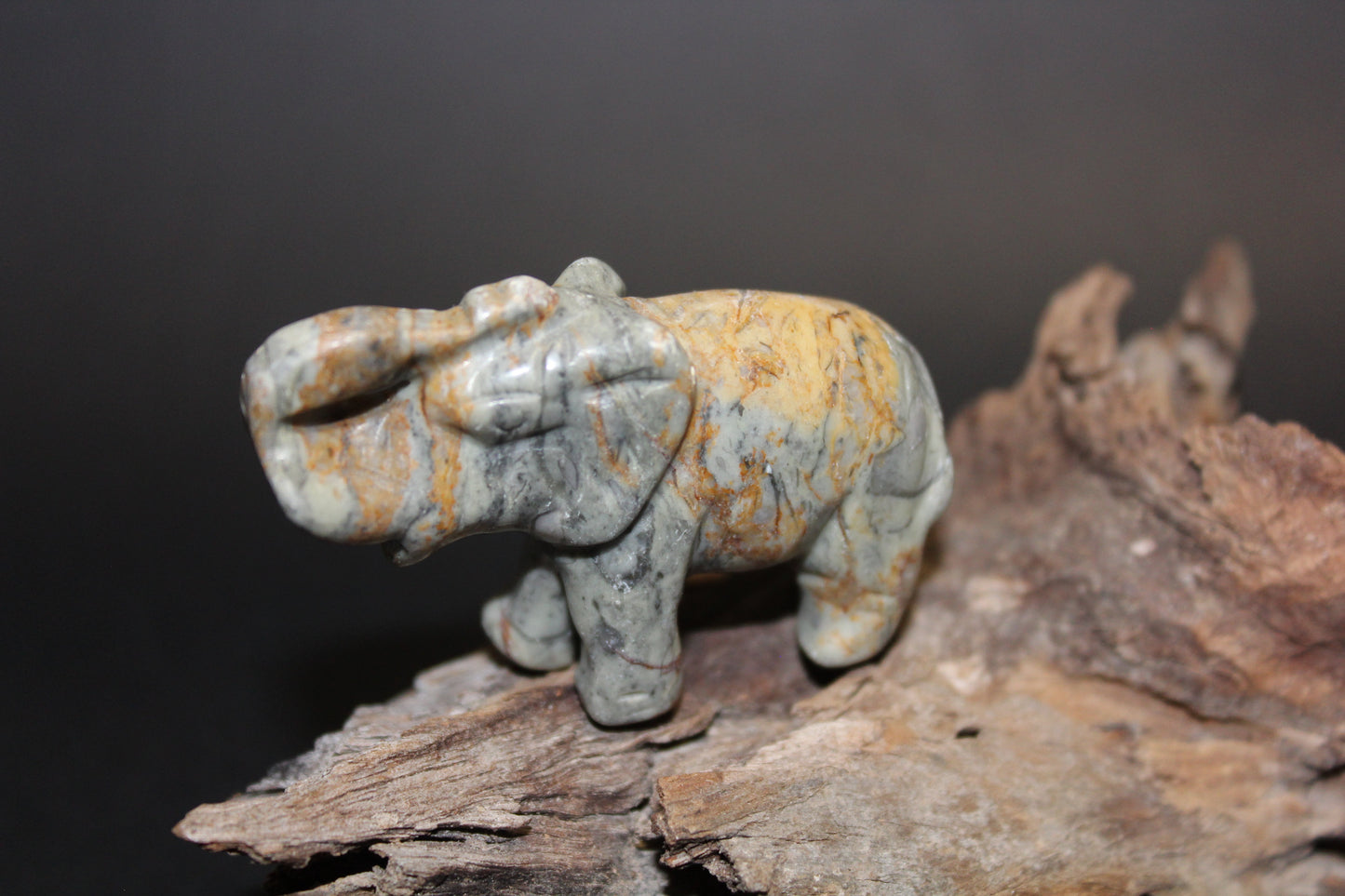 Animals - Elephant - Picasso Stone