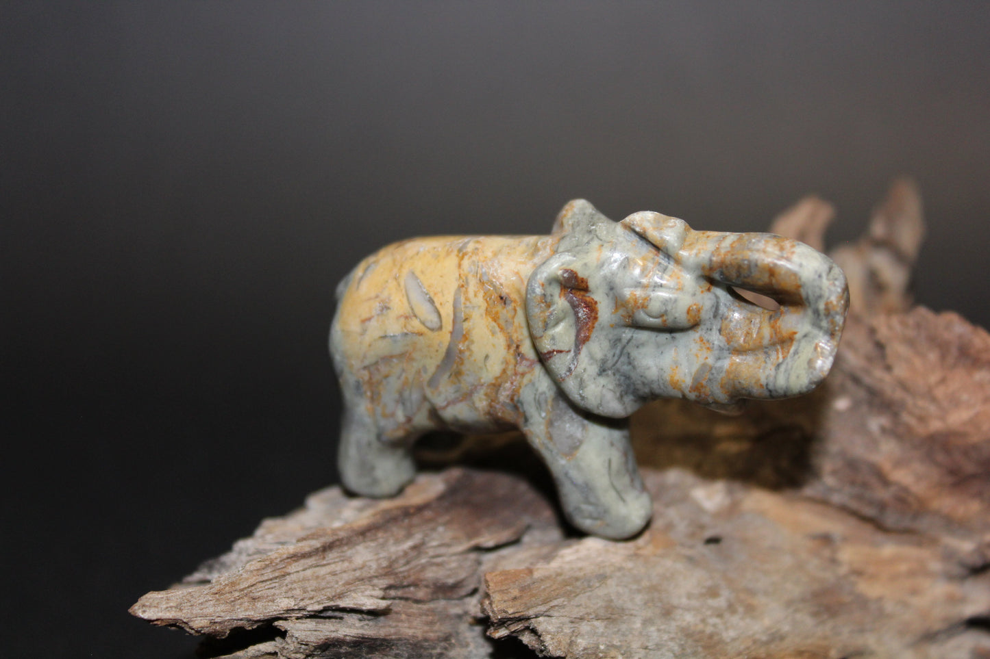 Animals - Elephant - Picasso Stone