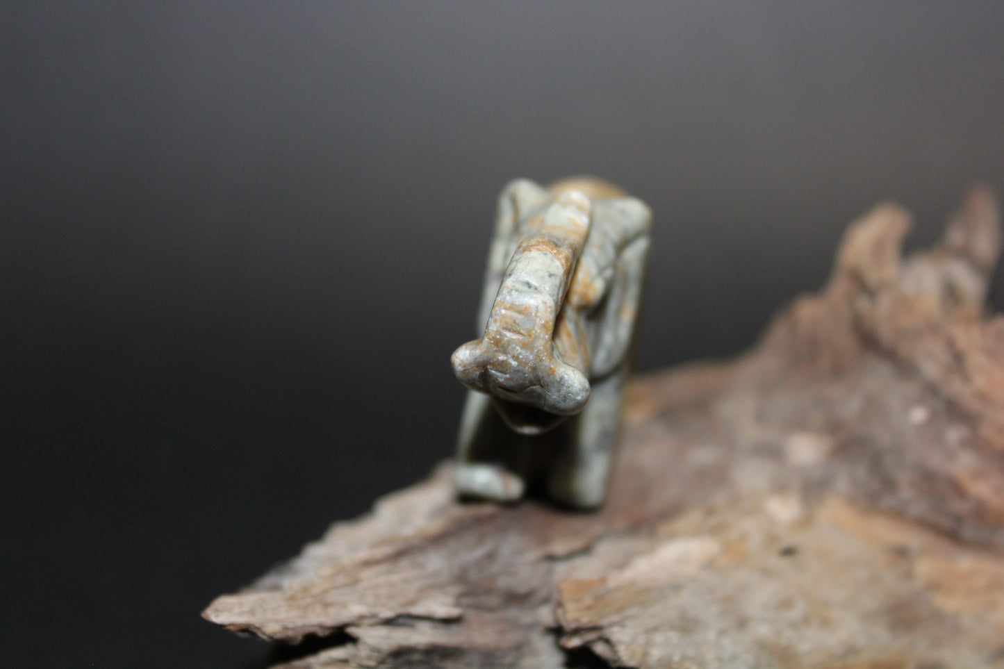 Animals - Elephant - Picasso Stone