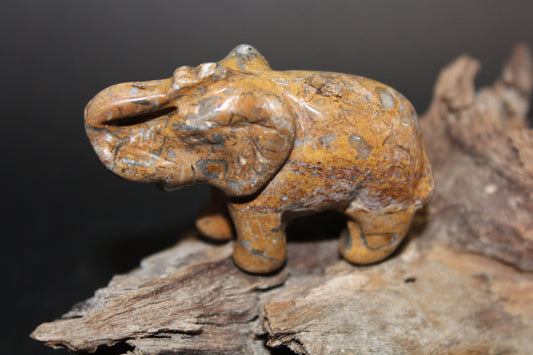 Animals - Elephant - Picture Jasper