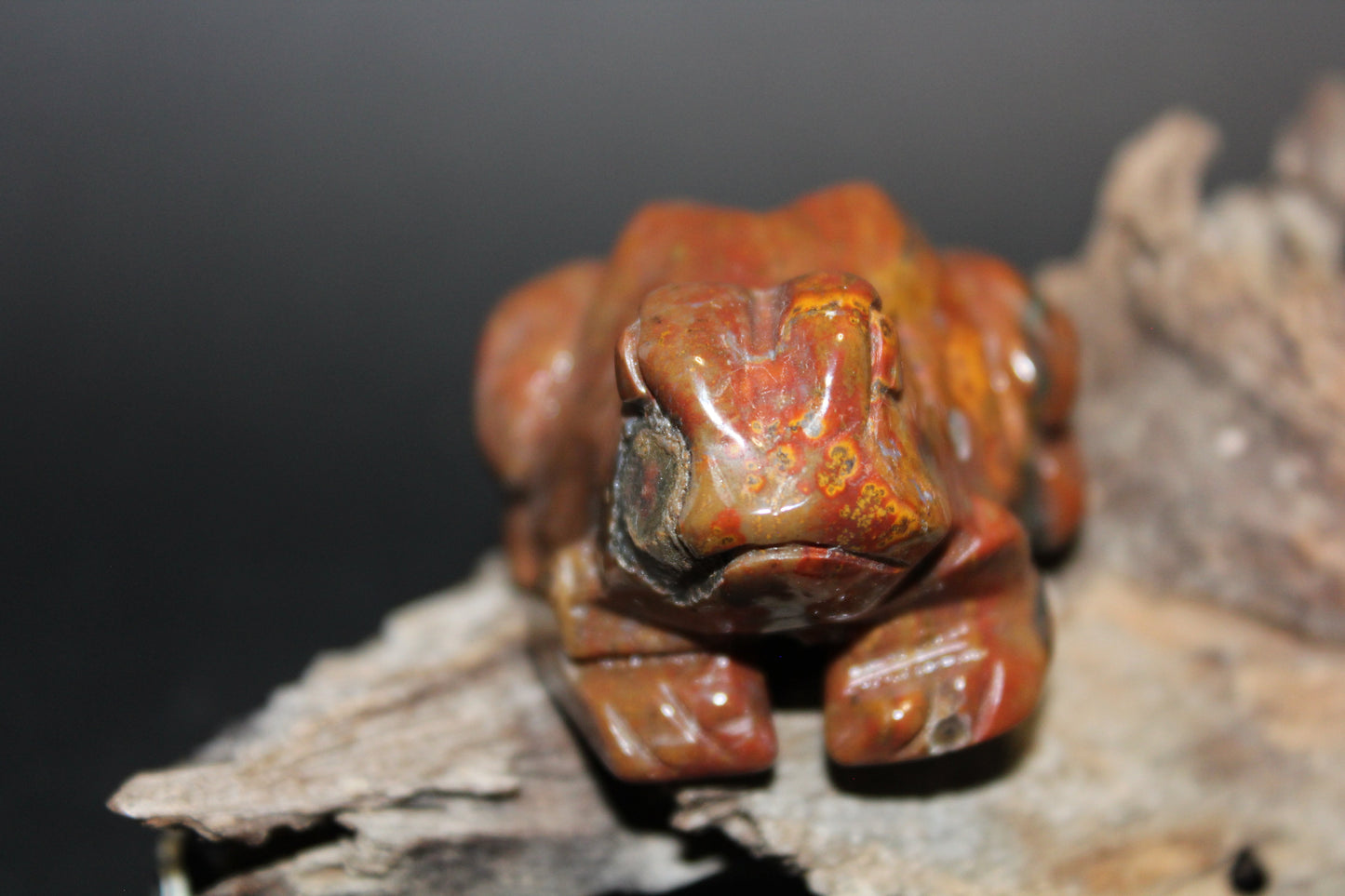 Animals - Frog - Brecciated Jasper