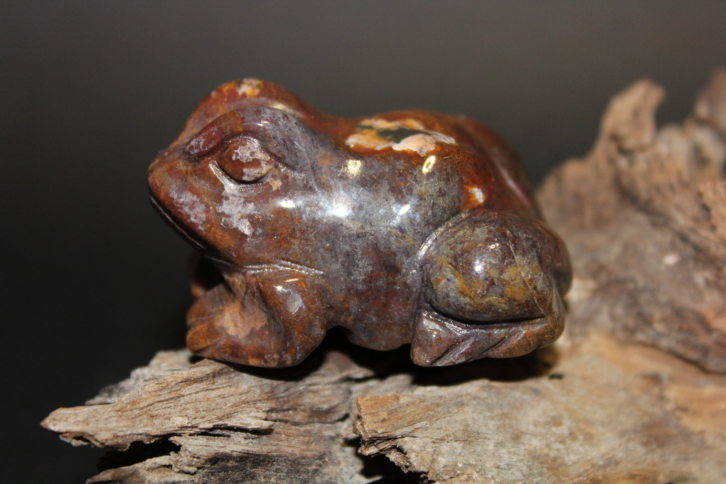 Animals - Frog - Mookaite