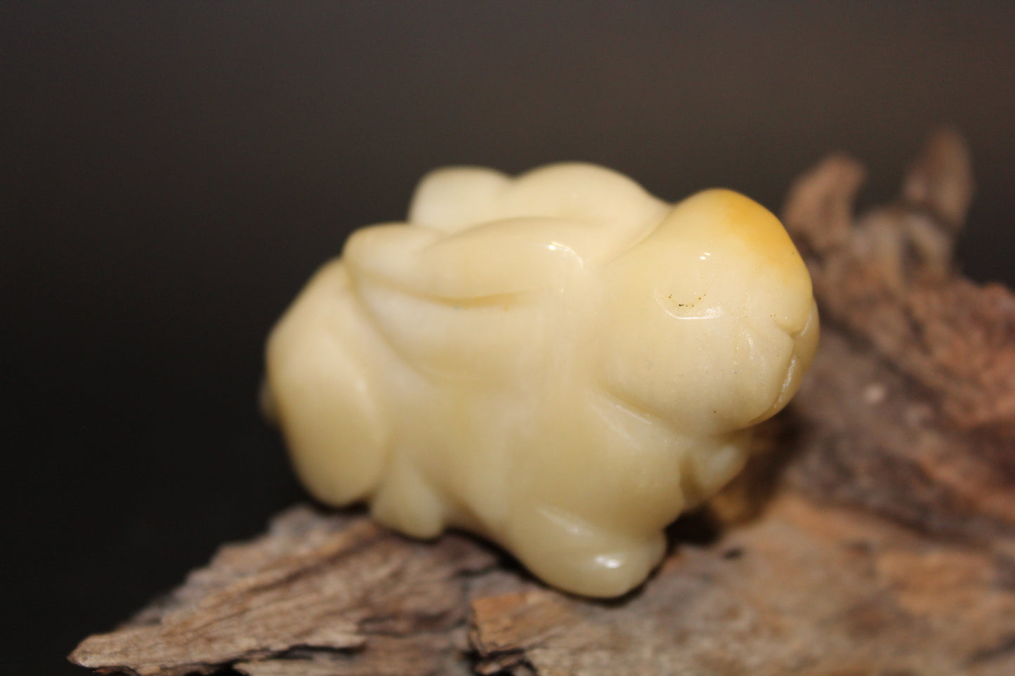 Animals - Rabbit - Honey Calcite