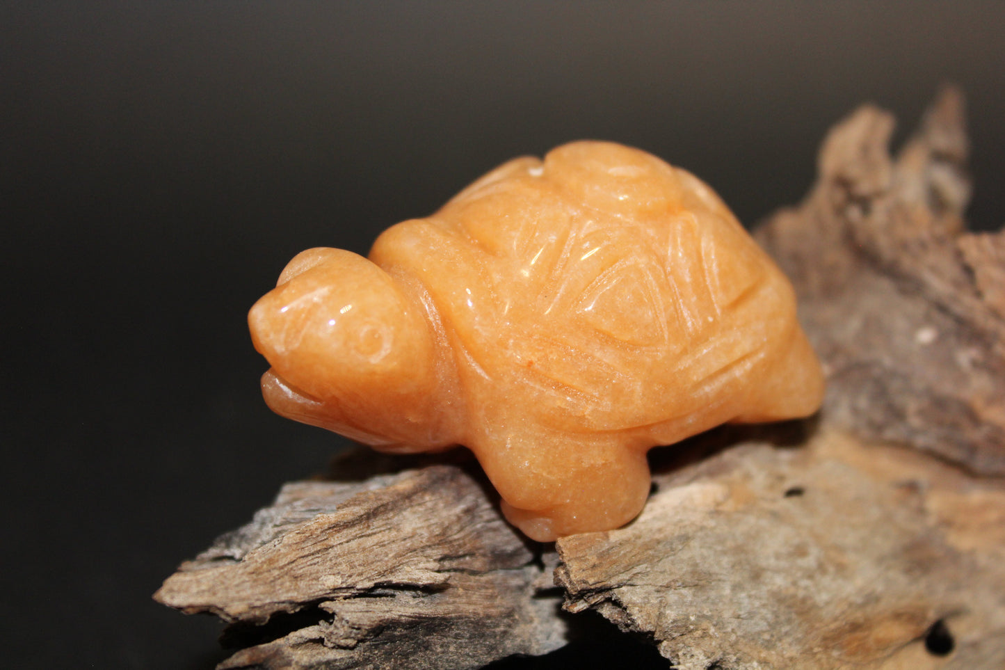 Animals - Turtle - Peach Aventurine