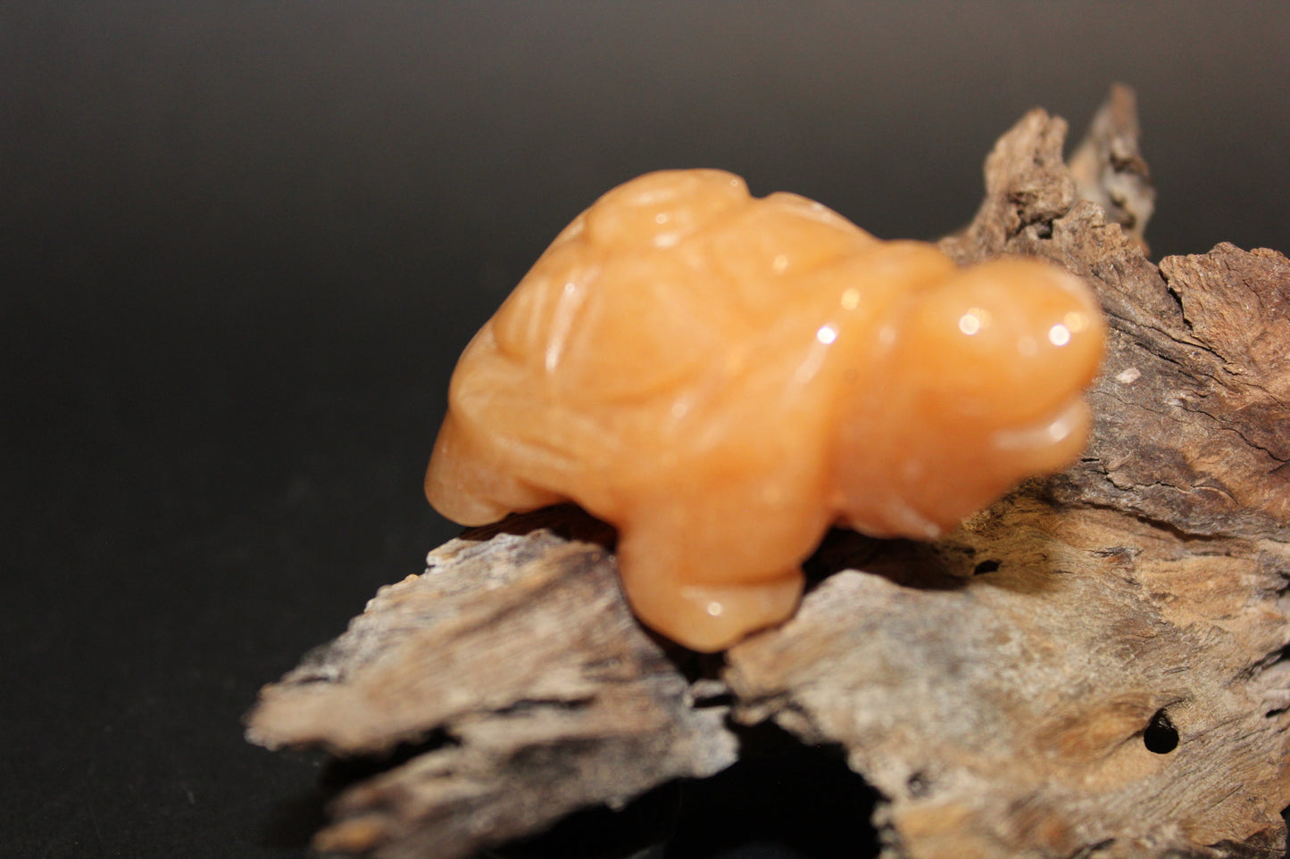 Animals - Turtle - Peach Aventurine
