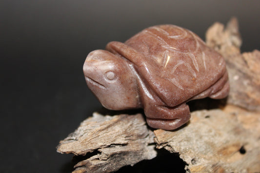 Animals - Turtle - Red Aventurine