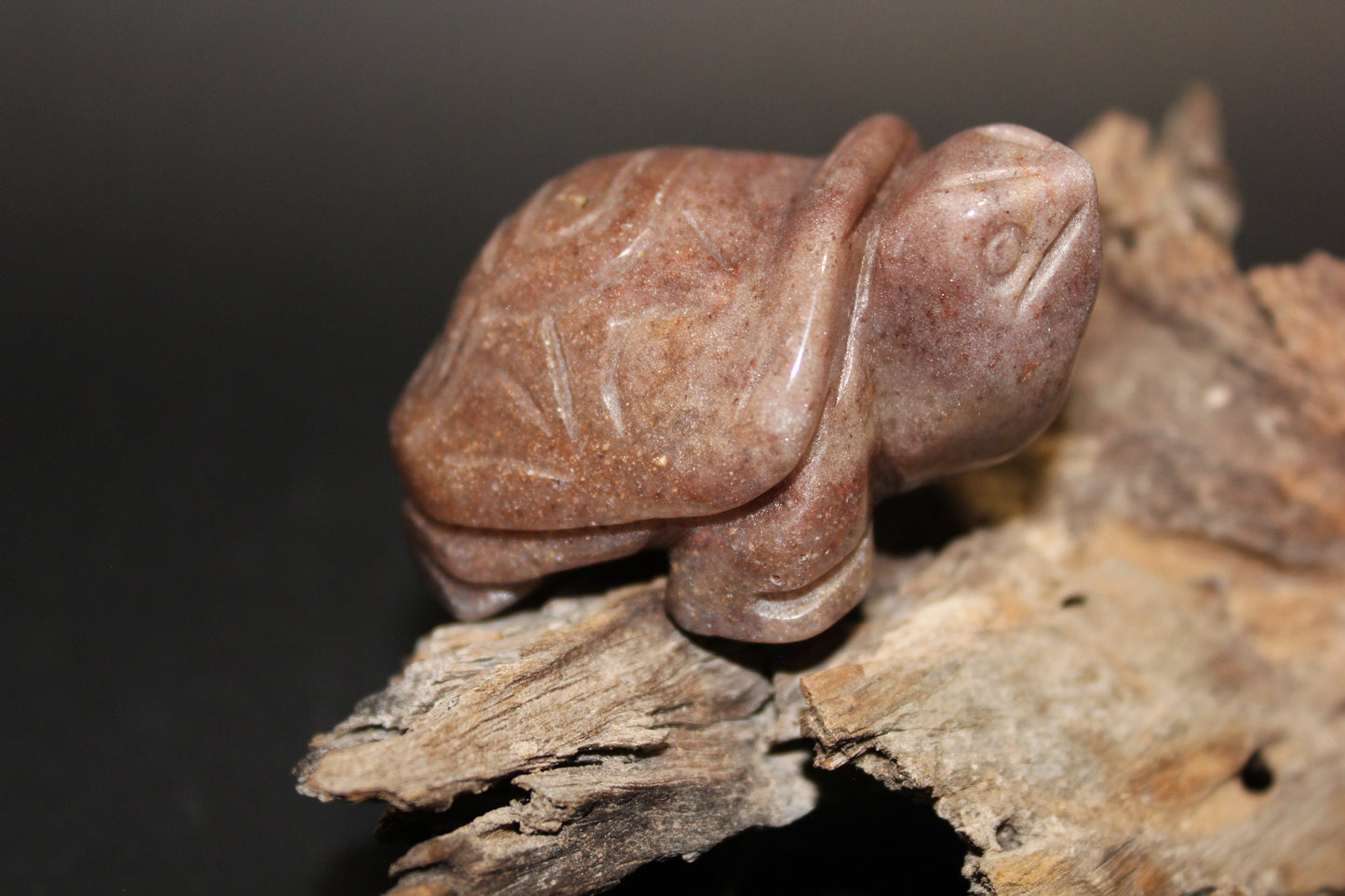 Animals - Turtle - Red Aventurine