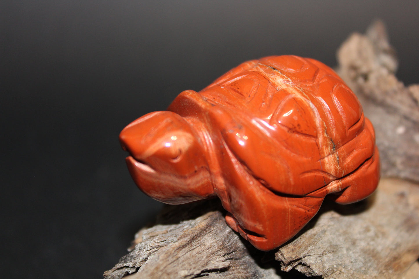 Animals - Turtle - Red Jasper