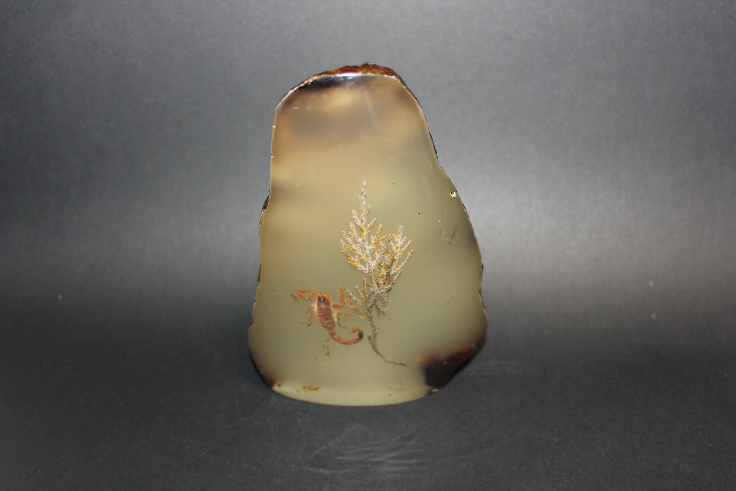 Carved - Resin/Amber (with Scorpion)