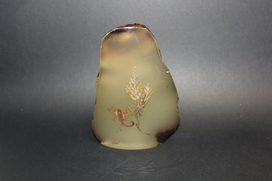 Carved - Resin/Amber (with Scorpion)