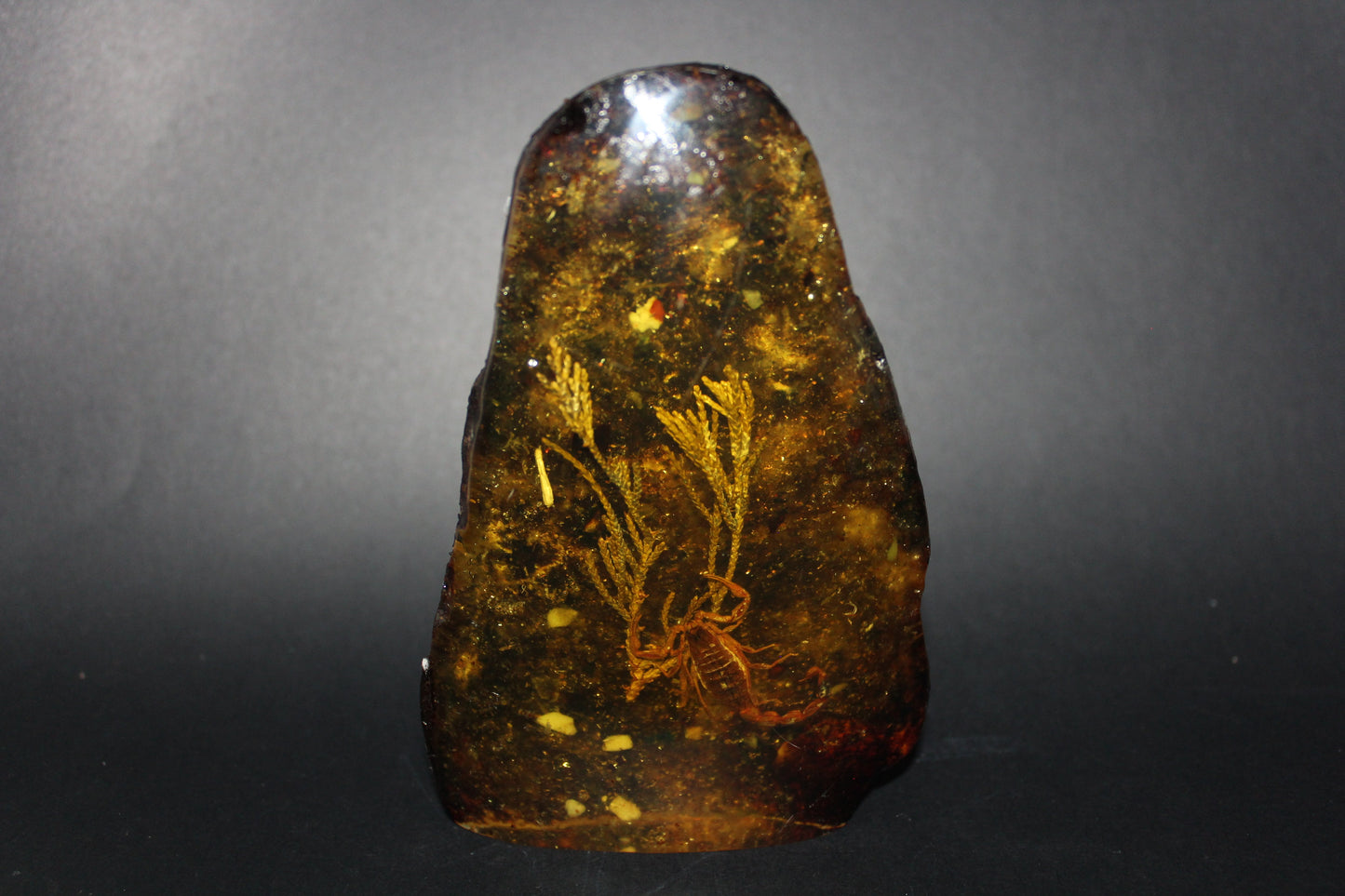 Carved - Resin/Amber (with Scorpion)