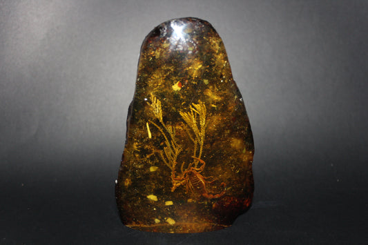 Carved - Resin/Amber (with Scorpion)