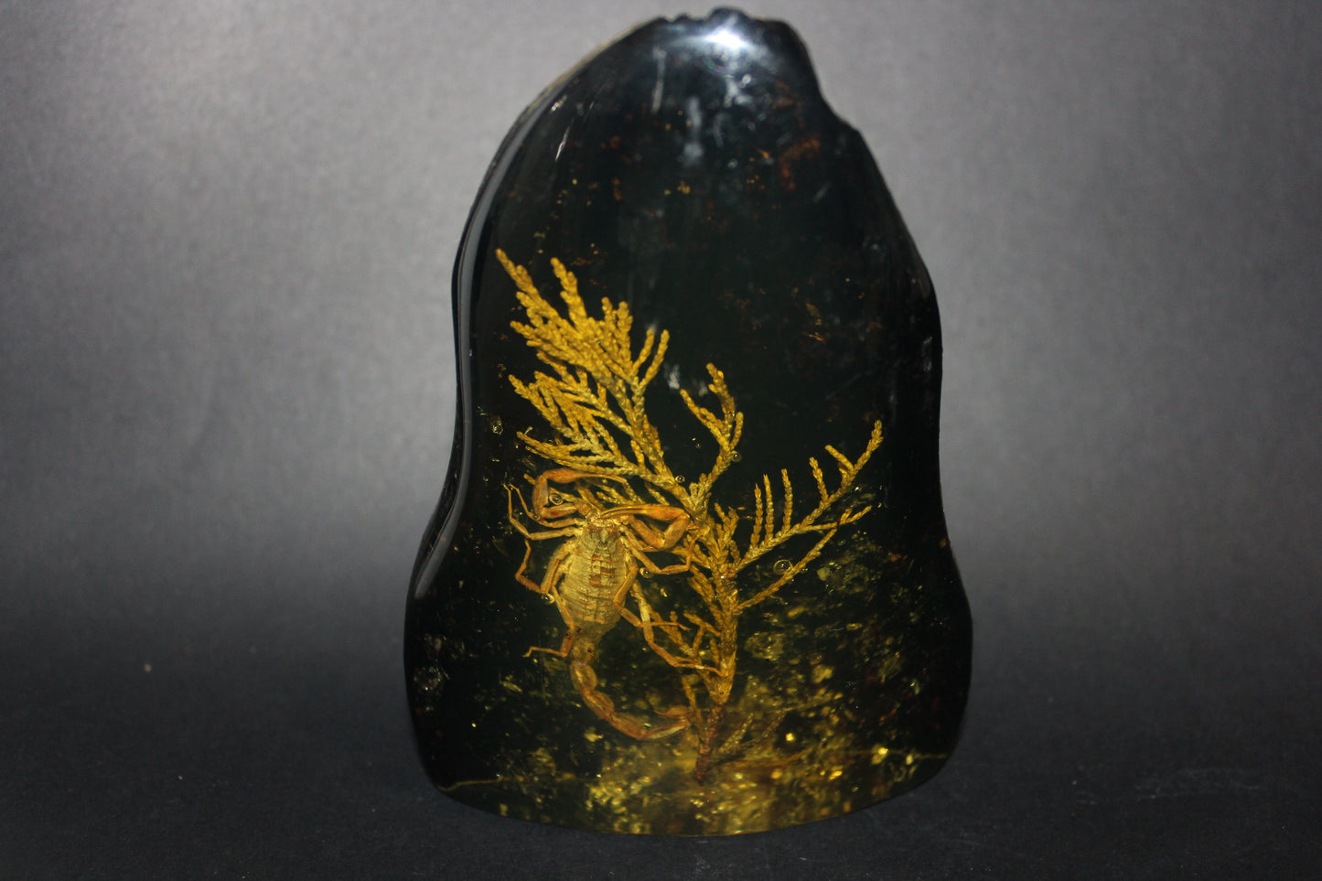 Carved - Resin/Amber (with Scorpion)