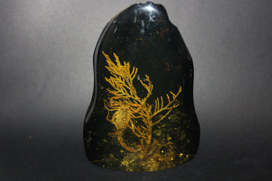Carved - Resin/Amber (with Scorpion)
