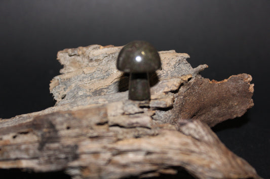 Carved - Mushroom - Moss Agate - xs