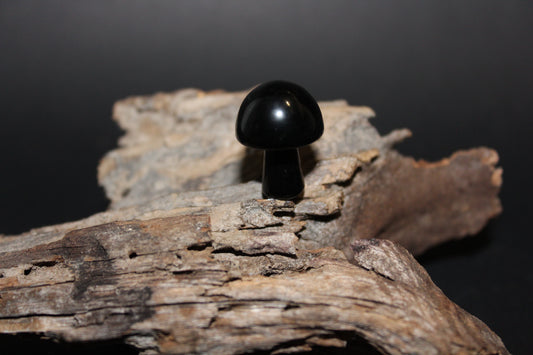 Carved - Mushroom - Onyx - xs
