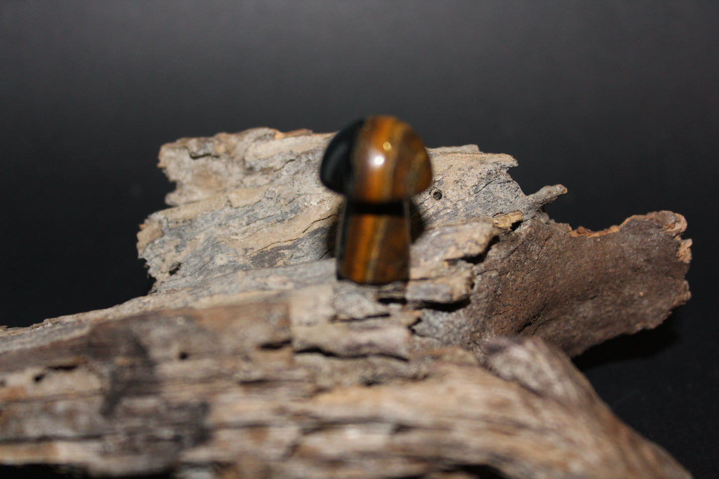 Carved - Mushroom - Tiger Eye - xs