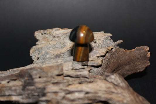 Carved - Mushroom - Tiger Eye - xs