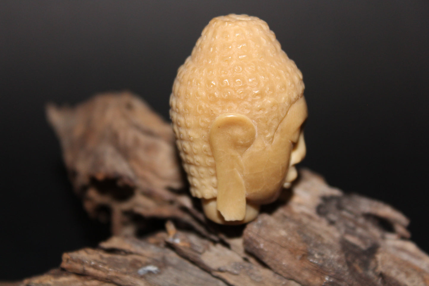 Carved - Buddha Head - Vegetable Ivory