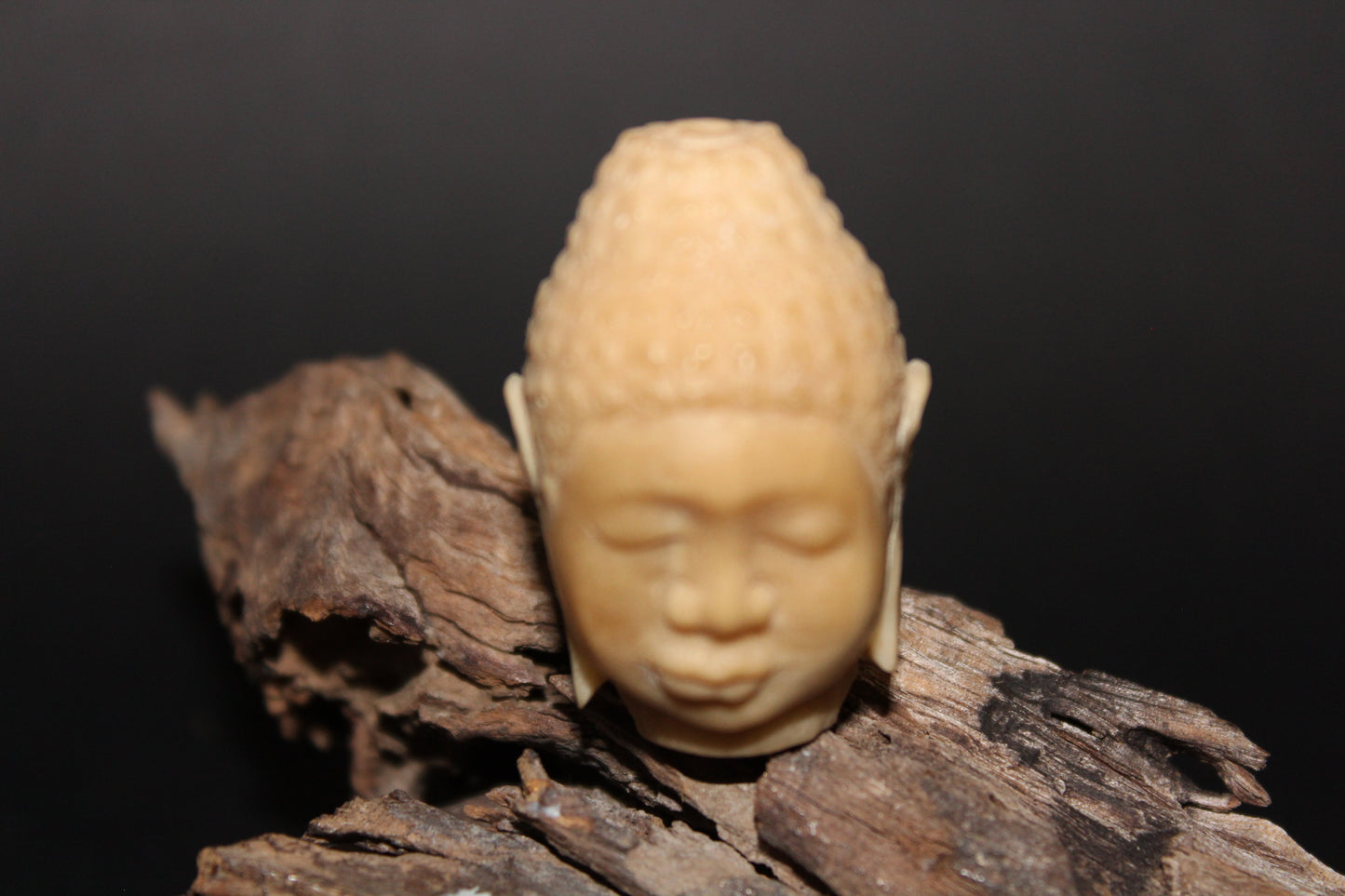 Carved - Buddha Head - Vegetable Ivory