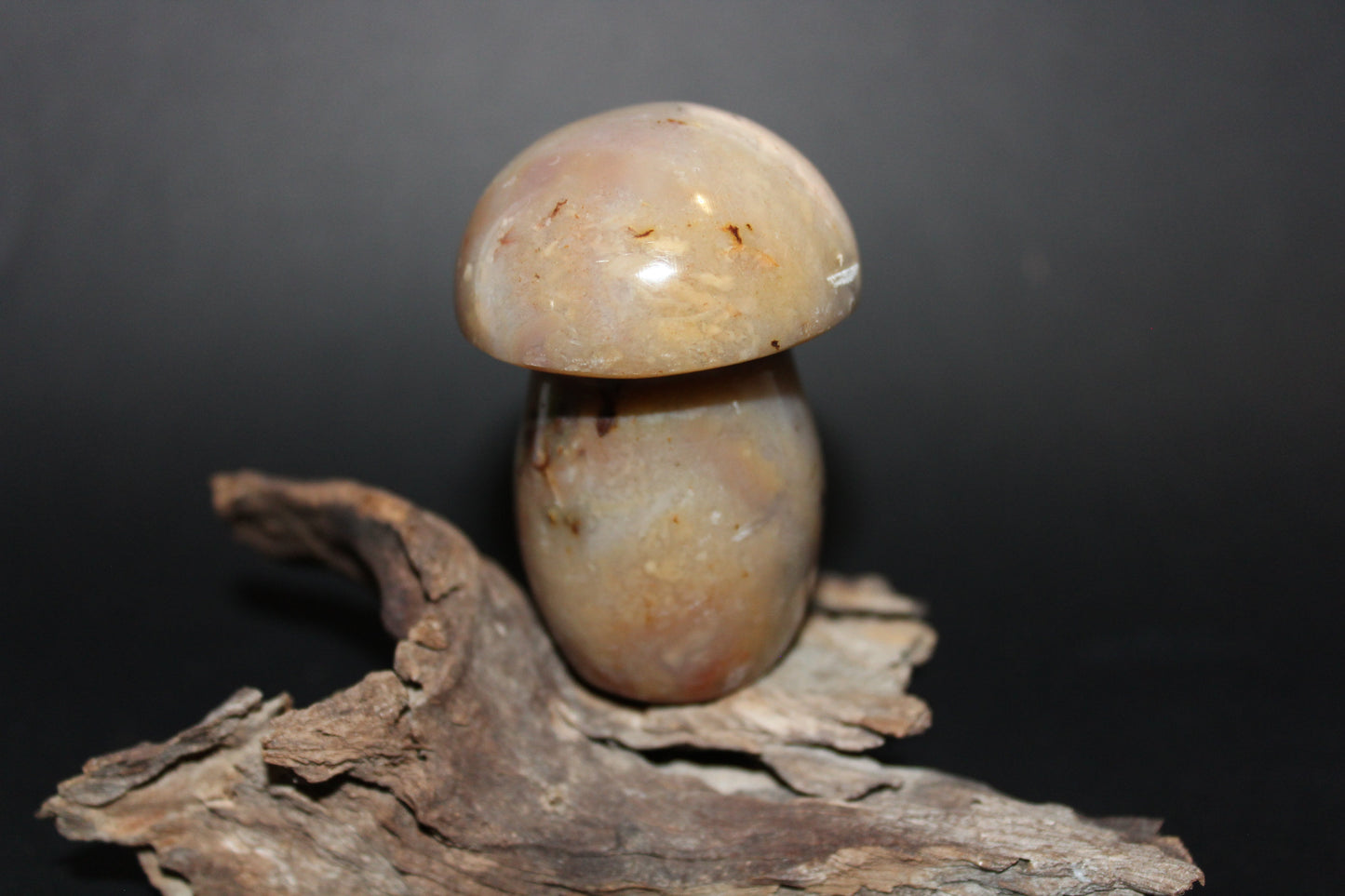 Carved - Mushroom - Agate