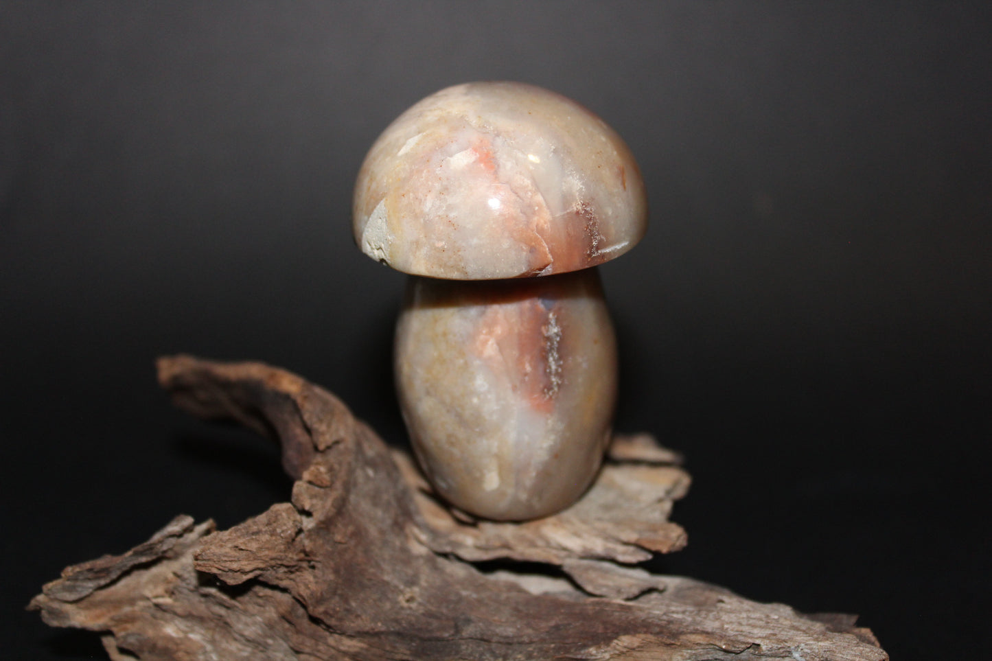 Carved - Mushroom - Agate
