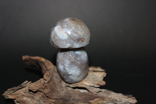 Carved - Mushroom - Agate