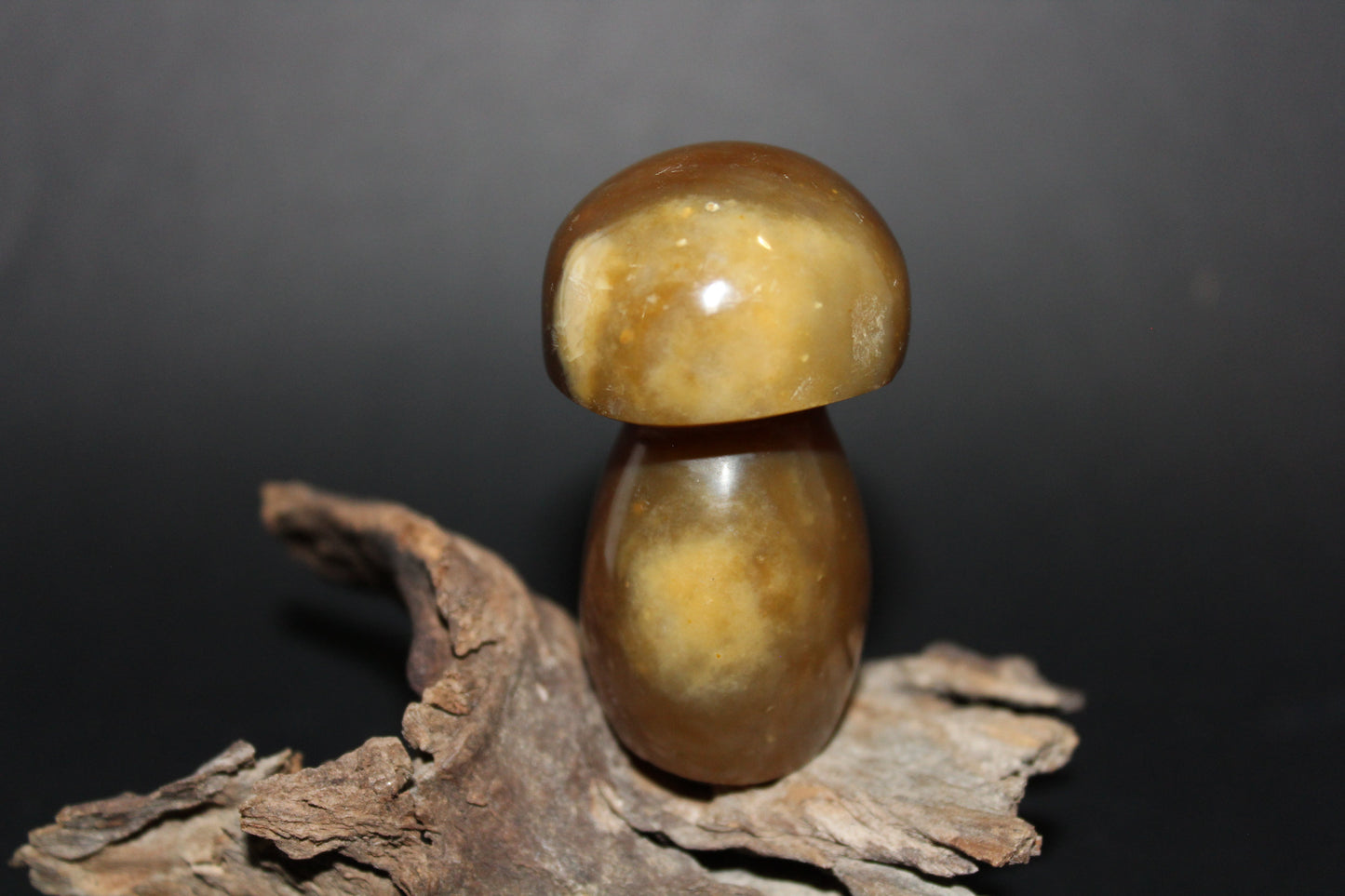 Carved - Mushroom - Agate