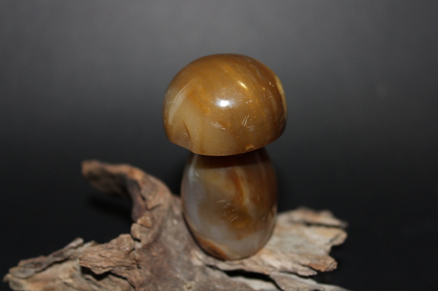 Carved - Mushroom - Agate