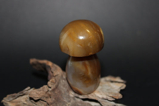 Carved - Mushroom - Agate