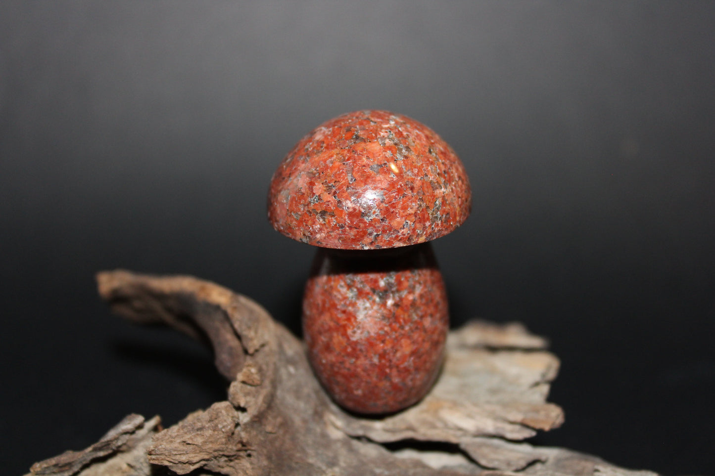 Carved - Mushroom - Brecciated Jasper